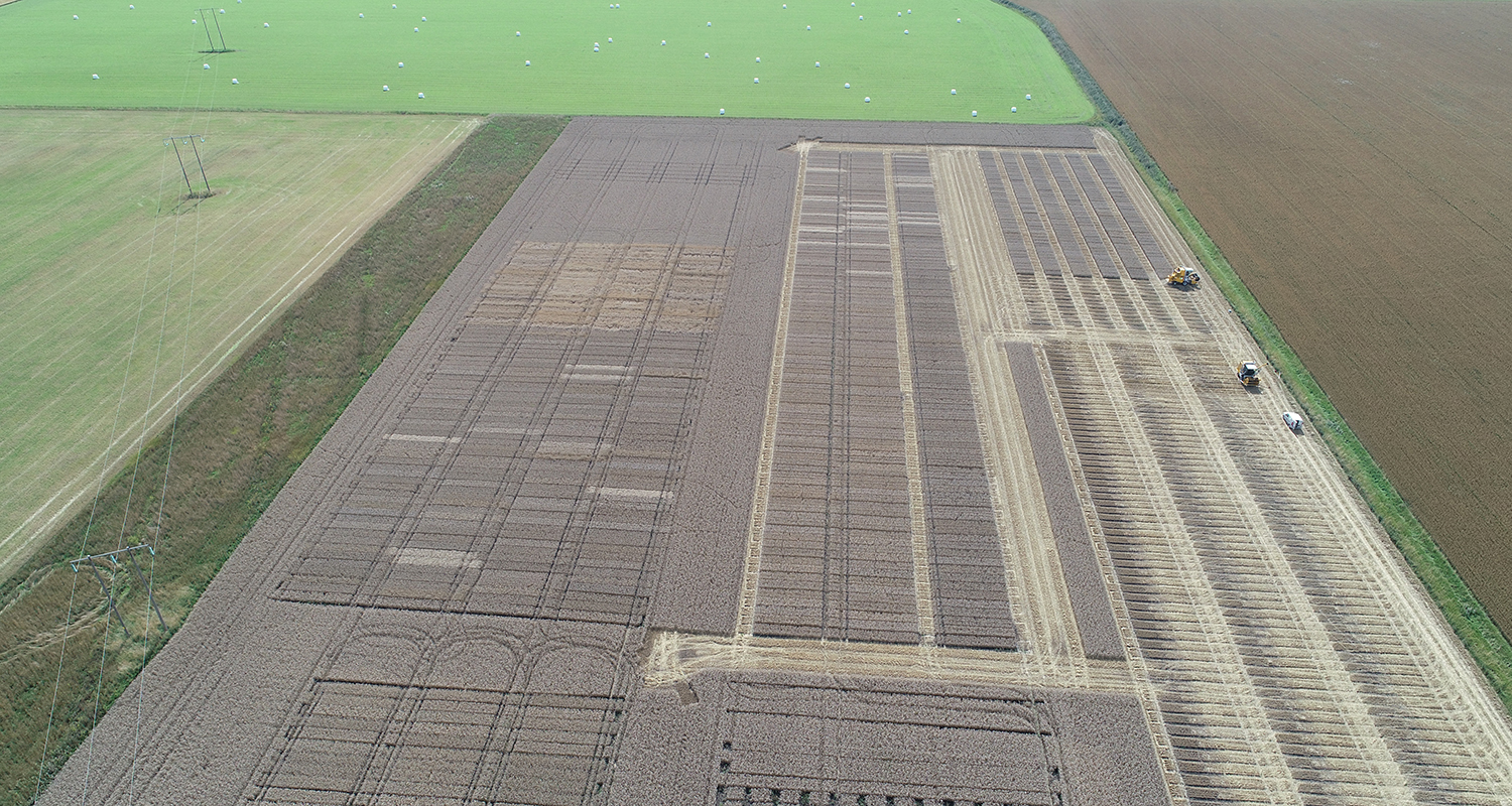 Faltforsok Foto Sven Ake 2 L7 426 2021