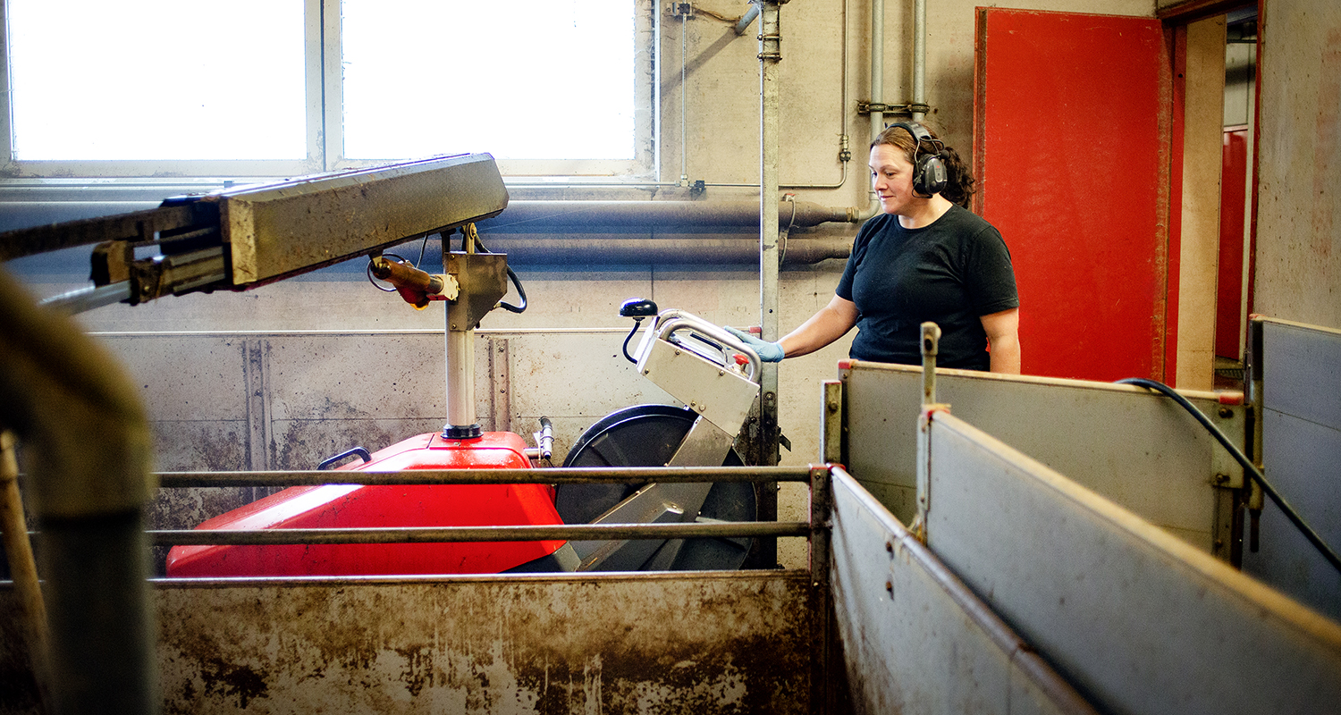 Tvättningsrobot Grisstall SLU Lövsta 1500 800 JF 129 241003