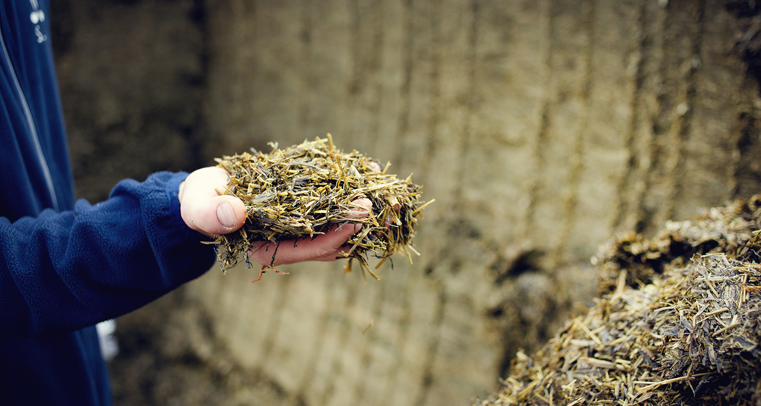 SLU Lövsta Hösilage Hand 1500 800 JF 268 241003