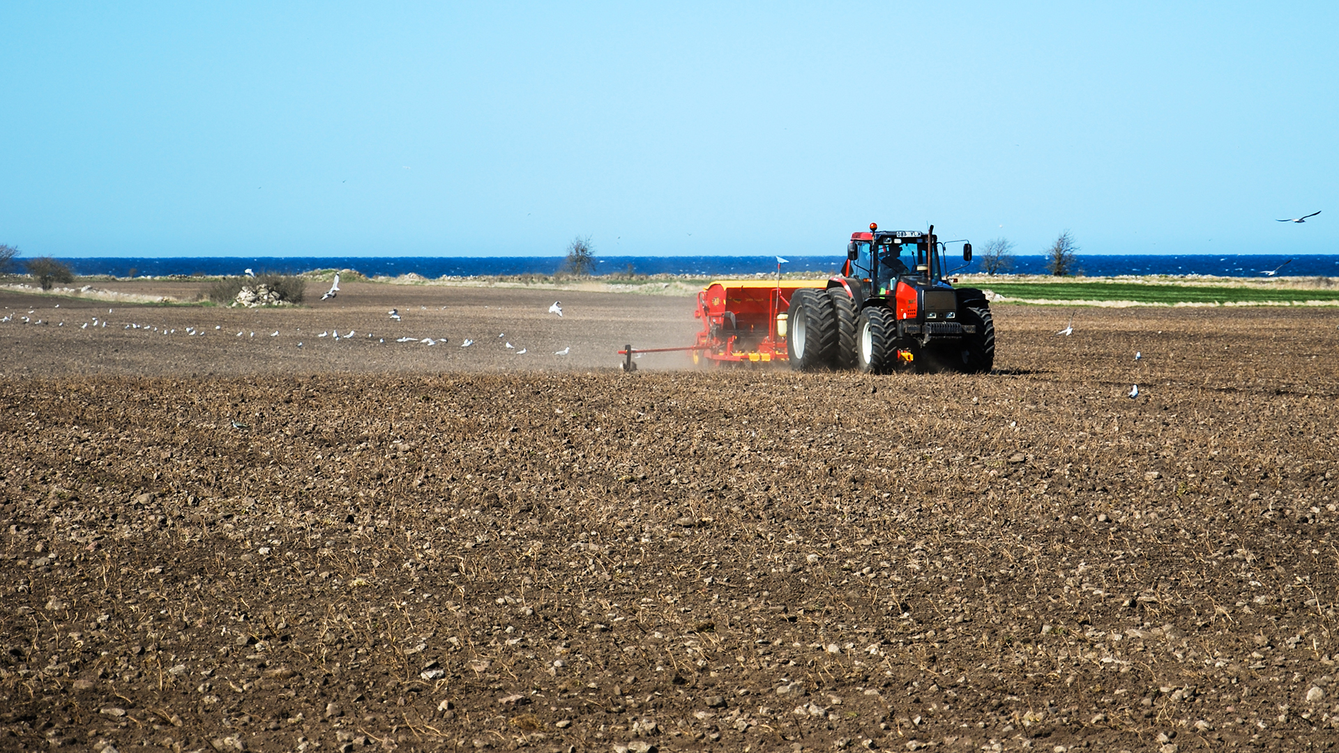 Beskuren Webben Istock 473141816